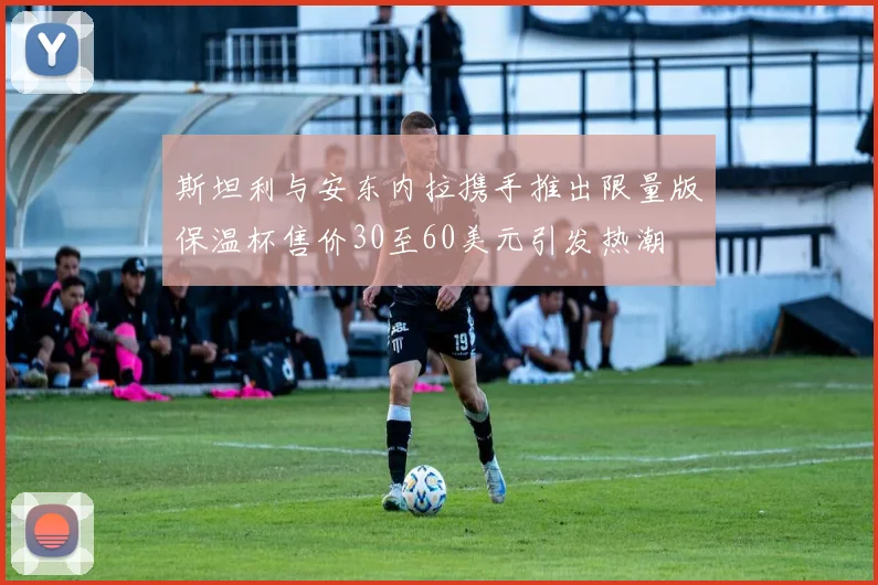 斯坦利与安东内拉携手推出限量版保温杯售价30至60美元引发热潮
