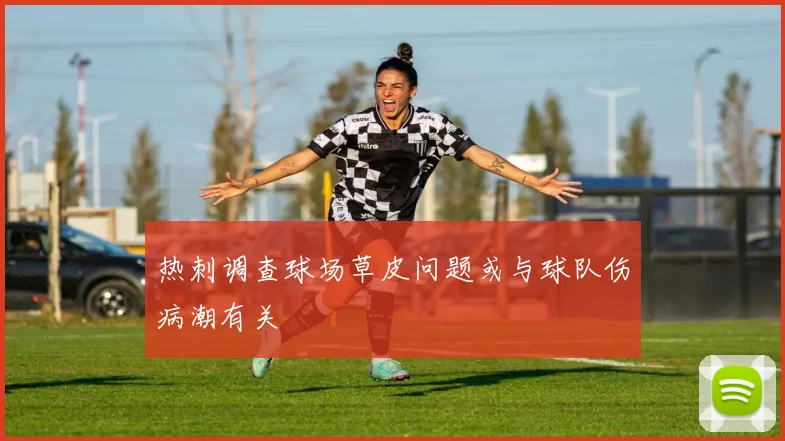 热刺调查球场草皮问题或与球队伤病潮有关