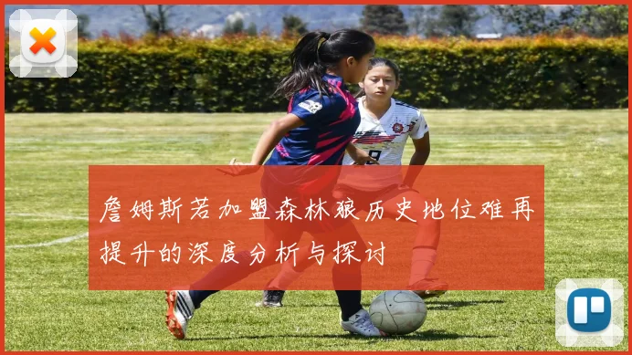 詹姆斯若加盟森林狼历史地位难再提升的深度分析与探讨